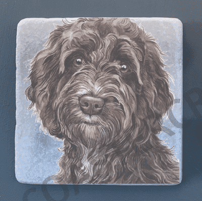 Cockapoo Brown-Black & Gold