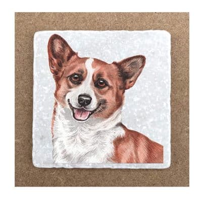 Corgi