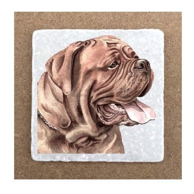 Dogue de Bordeaux