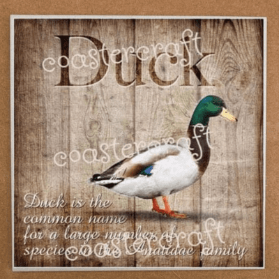 Duck Trivet