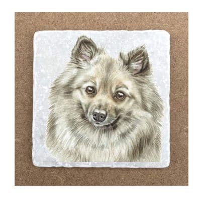 German Spitz