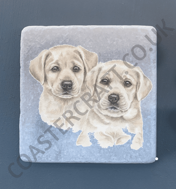 Golden Labrador Puppies