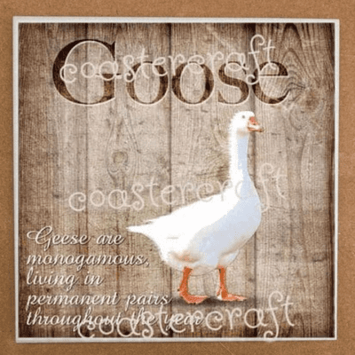 Goose Trivet