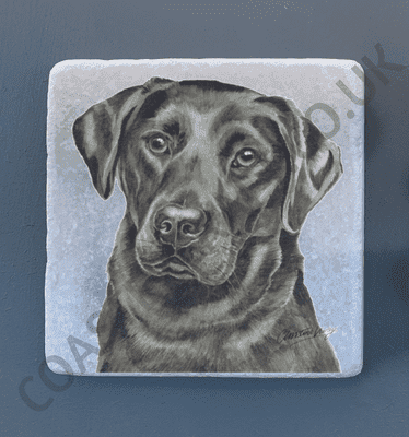Labrador Black-Gold-Chocolate