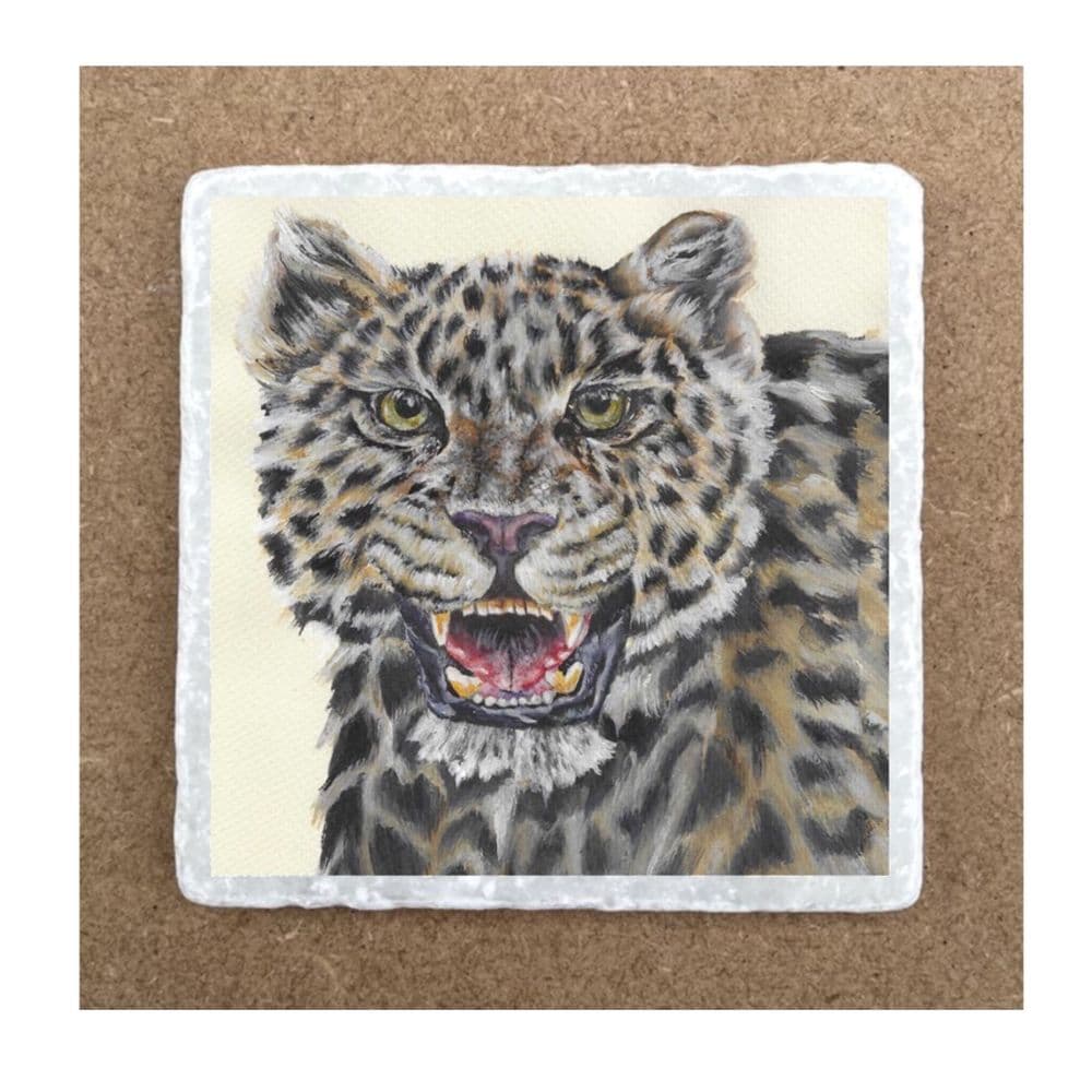 Twinkle Leopard Leopard
