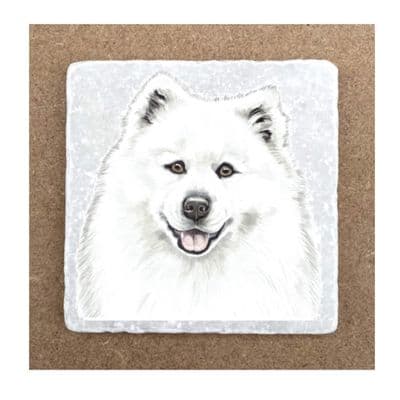 Samoyed