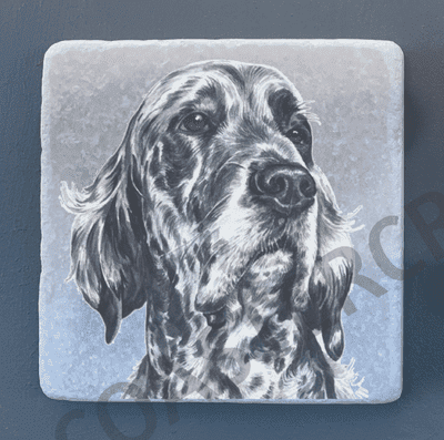 Setter English and Irish