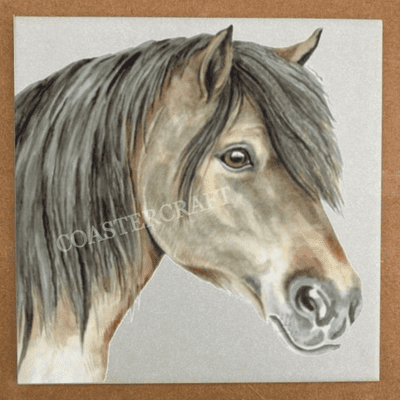 Shetland Pony Trivet