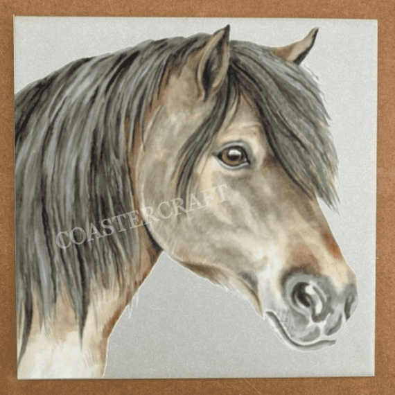 Shetland Pony Trivet