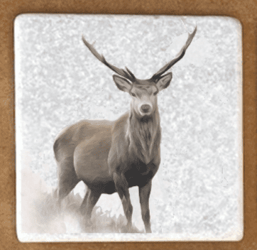 Stag Marble coaster (1)