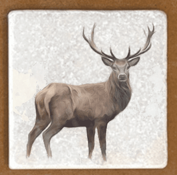 Stag Marble coaster (2)