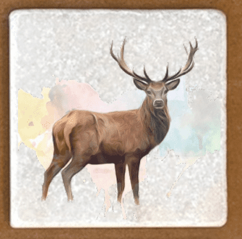 Stag  Marble coasters