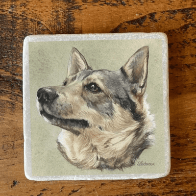 Swedish Valhund