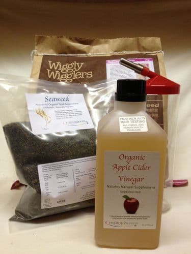 Apple Cider Vinegar Meal Deal