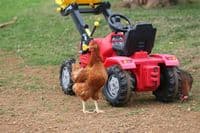 Cotswold Black Tail Sold out