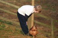 Cotswold Goldline - Sold out- available from pm 30th March