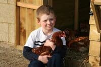 Cotswold Goldline - Sold out- due end of March