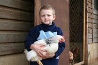 Cotswold Sussex Sold Out