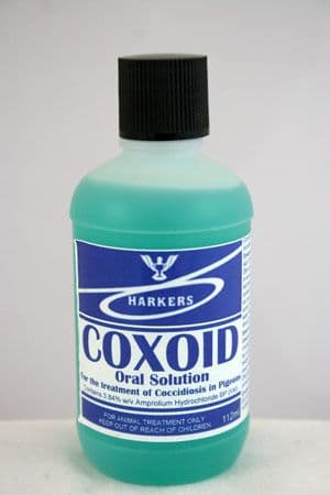 Coxoid