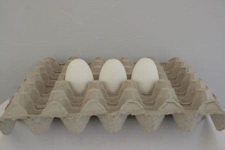 Egg Trays