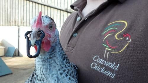 Fitting Beak Bits and Bumpa Bits