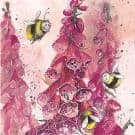 Foxgloves by Alex Clark