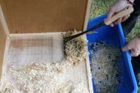 Hutch Scraper cleaning tool