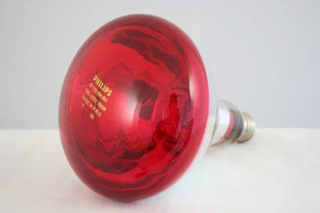 Infra Red Bulb