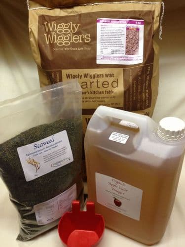 Large Apple Cider Vinegar Meal Deal