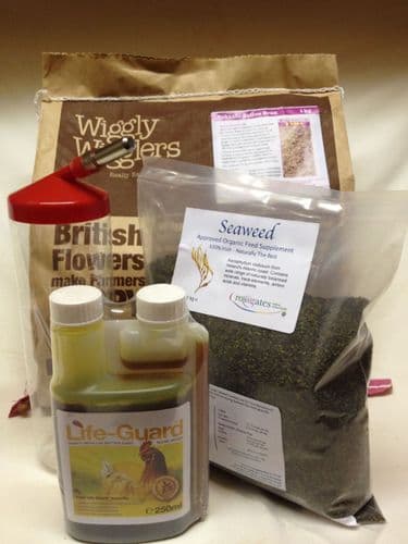 Life Guard Meal Deal