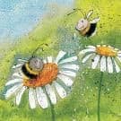 Mini Daisy Bee card by Alex Clark