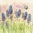 Mini Lavender Bee by Alex Clark