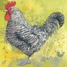 Mini Maran by Alex Clark