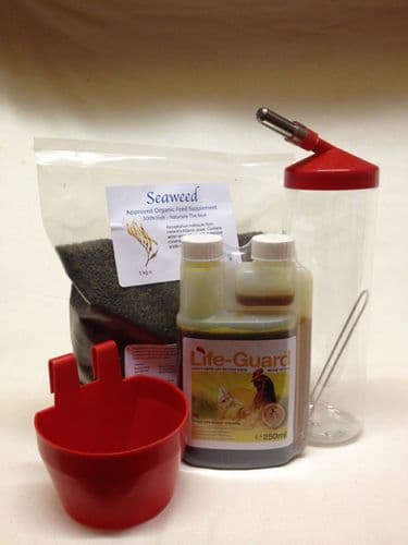 Revitamin Plus & Organic Seaweed deal