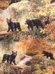 Bears fabric UK wild animal material fat quarter - 50cm x 56cm - 100% cotton forest trees