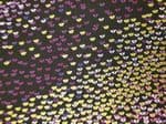 Butterfly Black fabric UK - Animals Lilac Purple Pink White Wild Insect Bugs Wings - Price Per Metre