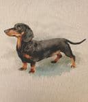 Dachshund dog Fabric cushion panels - 80% cotton 20% Polyester 45cm x 45cm (18" x 18") Upholstered