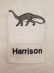 DINOSAUR DIPLOSAURUS PERSONALISED FACE CLOTH