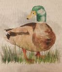 Duck Fabric cushion panels - 80% cotton 20% Polyester 45cm x 45cm (18" x 18") Upholstered material