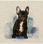 French Bull dog Fabric cushion panels - 80% Cotton 20% Polyester 45cm x 45cm (18" x 18") Doggy Pet
