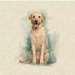 Golden Labrador dog Fabric cushion panels - Cotton-Polyester 45cm x 45cm (18" x 18") Upholstered