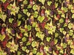 NEW! WINES AND VINES - Fabric 100% Cotton - Price Per Metre
