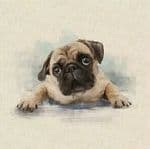 Pug Dog Fabric cushion panels - 80% Cotton 20% Polyster 45cm x 45cm (18" x 18") Animal Upholstered