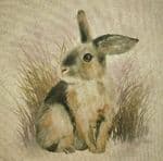 Rabbit Fabric cushion panels - 80% Cotton 20% Polyester 45cm x 45cm (18" x 18") Bunny Animal Cute