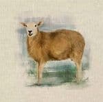 Sheep Fabric cushion panels - 80% Cotton 20% Polyester 45cm x 45cm (18" x 18") farm animal Lamb