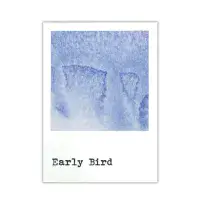 49 And Market Dye Ink Pad - Early Bird