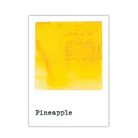 49 And Market Dye Ink Pad - Pineapple