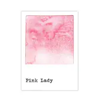 49 And Market Dye Ink Pad -Pink Lady