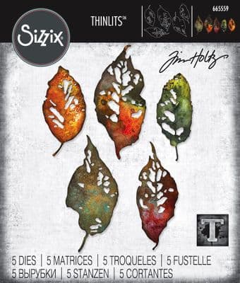665559 - Sizzix® Thinlits® Die Set 5PK  Leaf Fragments by Tim Holtz®