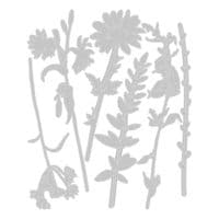 666565 - Sizzix® Thinlits® Die Set 6PK  Vault Wildflowers by Tim Holtz